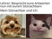 Wenn der Sitznachbar mehr Fragen aufwirft