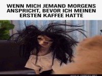 Vor-Kaffee-Zombie!