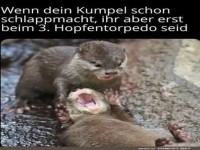 Wenn dein Kumpel schon schlappmacht