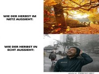 Herbst: Erwartung vs. Realit�t