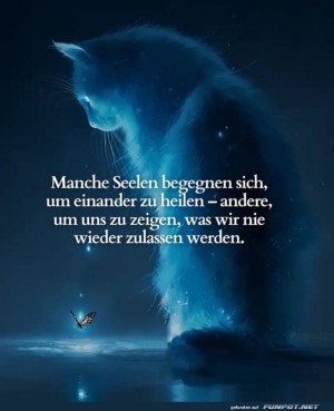 Katzenspiritualitt:-Wenn-Schnurren-trifft-auf-Zen.jpg auf www.funpot.net