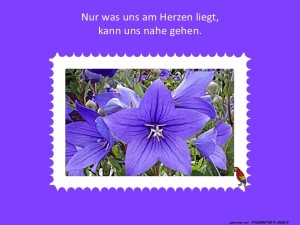 herz-Bild: Nur was uns am Herzen liegt