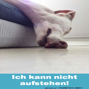 Begr&uuml;&szlig;ungsbild