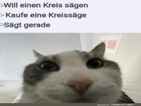 Kreativer Kreisverkehr mit Krallen