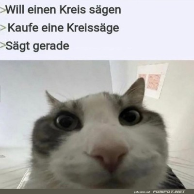 Kreativer-Kreisverkehr-mit-Krallen.jpg von Lennox44