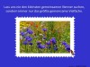 weiter