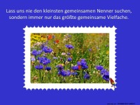 Lass uns nie