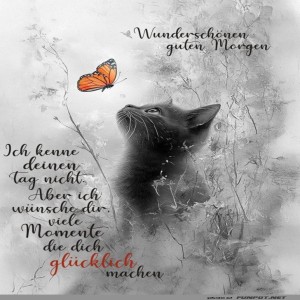 Katzenträume:-Wenn-Schmetterlinge-faszinieren.jpg von Tobias-1995