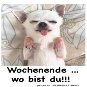 fun-Bild: Wochenende