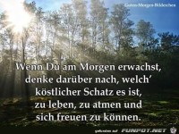 Wenn du am Morgen erwachst