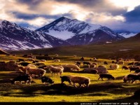 Wonderful places on planet earth