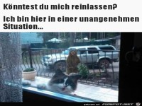 lass mich rein.......