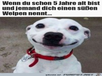 Das l�uft runter wie �l