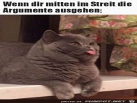 B�hhh