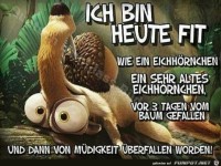 Ich bin heute fit wie ein Eichh�rnchen