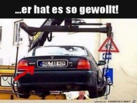 .....er hat es so gewollt !