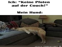 Keine Pfoten auf dem Sofa