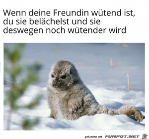 W�tende-Freundin.jpg auf www.funpot.net