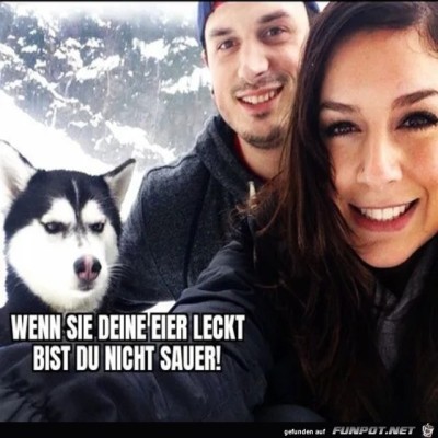 Hund-ist-sauer.jpg von Luis