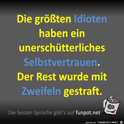 Idioten.jpg von Fossy