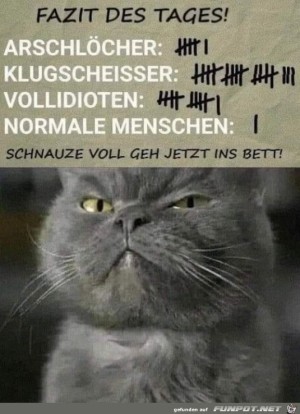 Fazit-des-Tages.jpg auf www.funpot.net