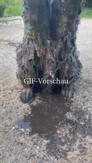 Ein Schlammbad genommen
