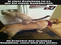 Tierische Teamarbeit in der K�che