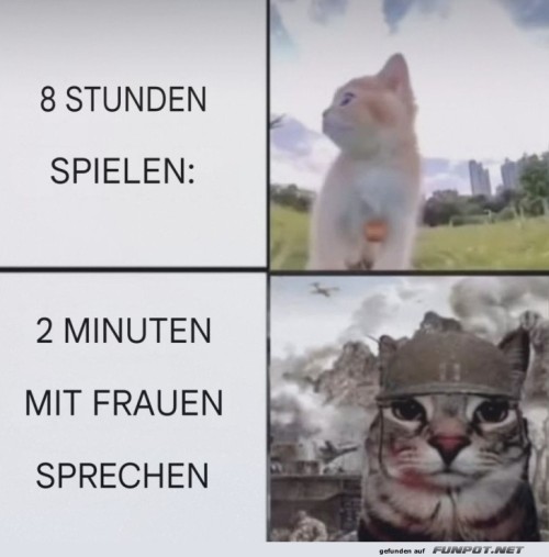 Vergleich:-Spielen-vs.-Reden-mit-Frauen.jpg auf www.funpot.net