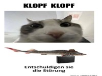 Lustiges Katzen-Meme: Klopf Klopf