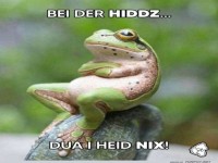 Lustiger Frosch mit frechem Spruch