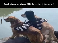 Optische T�uschung: Mensch oder Hund?