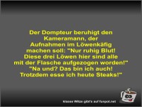 Der Dompteur beruhigt den Kameramann