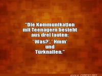 Teenager-Dialoge: Die groe Kunst des Trknallens