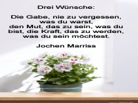 drei wnsche 
