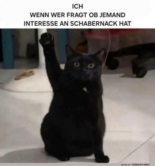 Bereit-für-Schabernack!.jpg auf www.funpot.net
