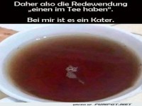 Wenn der Tee zum Kater wird!