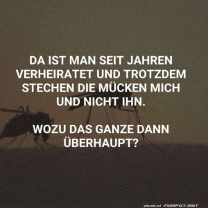 Heiraten-sch�tzt-nicht-vor-M�cken!.jpg von Schwesterchen