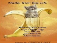 Ich wünsche dir einen tollen Tag