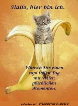 Ich-w�nsche-dir-einen-tollen-Tag.jpg auf www.funpot.net