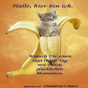 Begr&uuml;&szlig;ungsbild
