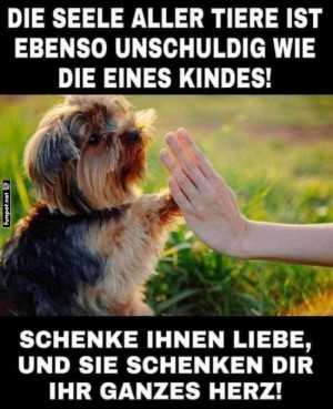 Pfotenfreunde-f�rs-Leben.jpg auf www.funpot.net