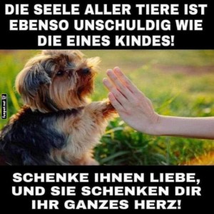 Pfotenfreunde-f�rs-Leben.jpg von Valentina