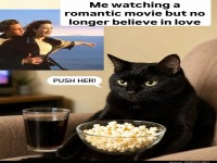 Cinematic Skepticism: Cat Edition
