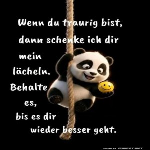 Panda-Post:-Ein-Lächeln-gegen-Traurigkeit!.jpg von Annelie-68