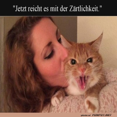 Wenn-Kuschelalarm-zur-Gefahr-wird.jpg von Felia-51