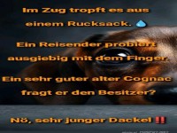 Der tropfende Rucksack-Mystery