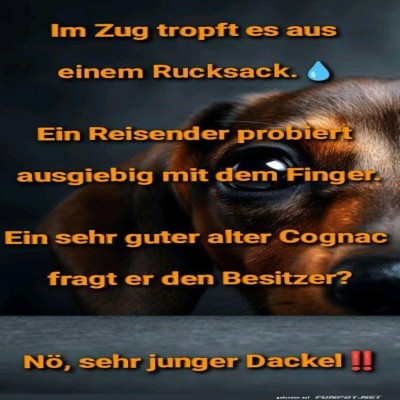Der-tropfende-Rucksack-Mystery.jpg von Queen92