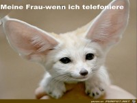 telefonieren