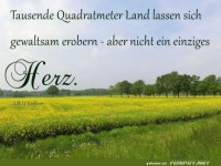 Tausende Quadratmeter