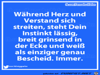 herz und verstand